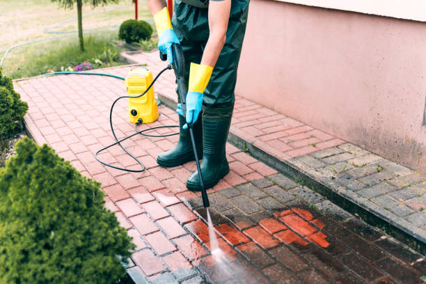Best Fence Cleaning  in Staples, MN