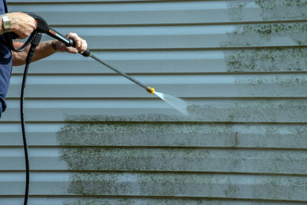 Best Gutter Cleaning  in Staples, MN
